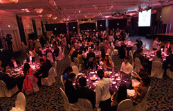 Medium fill da39aa7e0c img 5300 pink ball 2015 03 20