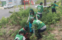 Medium fill 1 singly volunteer recruiting 26665main