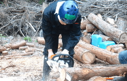 Medium fill fcf03835ec singly environment recruiting 47740main