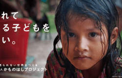 Medium fill b845e5ad36 photokamo
