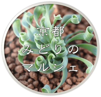 メインビジュアル背景画像