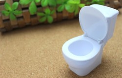 Medium fill d3fef8e28c ff24ca0db75b0a8507d283bc602bf833 s