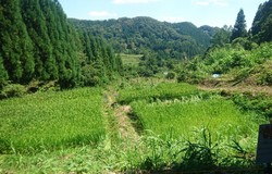 Medium fill c4b2338329 img 5300