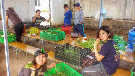 村おこしボランティア【ベトナム コース】