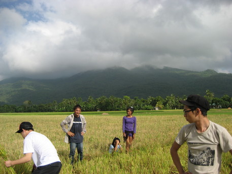 農作業の手伝い
